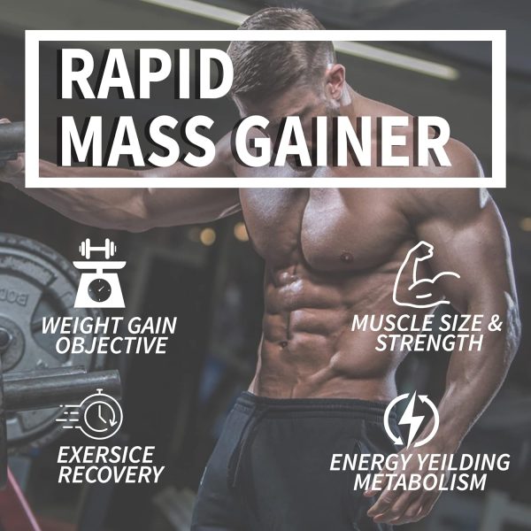 Rapid Mass & Weight Gainer [1 Kg / 2.2 lb] - Image 3